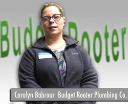 Carolyn Barbour Budget Rooter For Blog